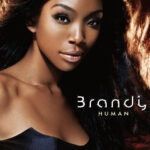 Brandy – Camouflage Cover