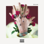 mgk – bloom (Deluxe) Album Cover